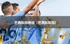 巴西队标地毯（巴西队队标）