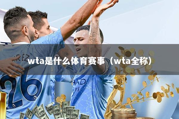 wta是什么体育赛事(wta全称)